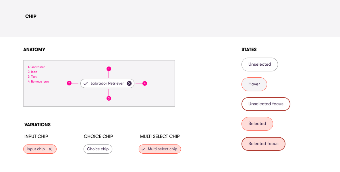 Ollie onboarding plan recommendation screens